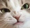mad