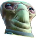 mrchins