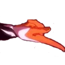 HoVSnap