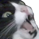 panic