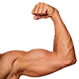 FlexRight