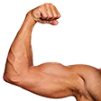 FlexLeft