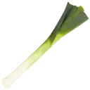 leek