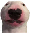 walter