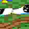 sadpepecry