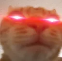 hypereyescat hypereyescat