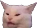 catwut