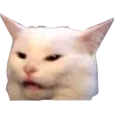 madcat madcat