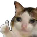 sadthumb