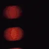 ditzyreba ditzyreba
