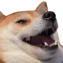 HappyPupper