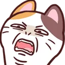kpKittyDisgusting