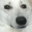ThousandYardStare