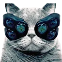 cybercat