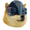 cyberdoge