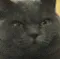 squint