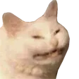mfBitchWut