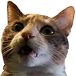 violenScared