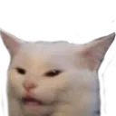 huhcat