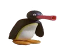 nootnoot nootnoot