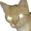 cattoHmmm