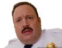 blart