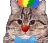 :puet_cat: puet_cat