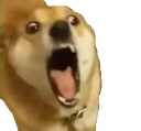 :ohno: Discord Emote