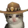 SadCat