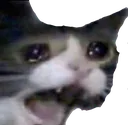 emoji_6 emoji_6