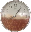 beansoclock