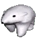 beargo beargo