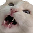 corusRawr
