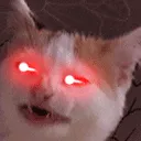 Hypertremblecat Hypertremblecat