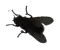 ARRETEZAVECCETEMOJIDEMERDE