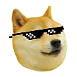DOGLIFE