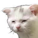 iwantdeath