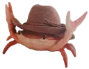 yeeclaw