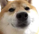 Stare_Boye