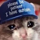 sadcat
