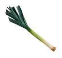 leek leek