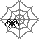 :Spiderweb: