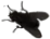 FlyOnScreen