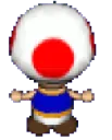 toadduk toadduk