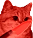 chassassin2