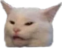 FeralDruid