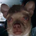 sad