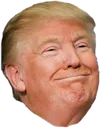 cheesingtrump