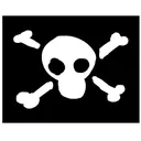 pirate pirate