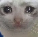 crycat